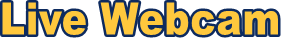 Live Webcam